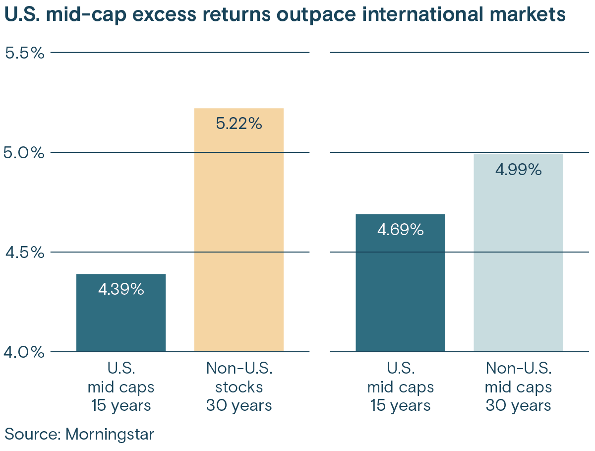 U.S. mid-cap excess returns outpace international markets