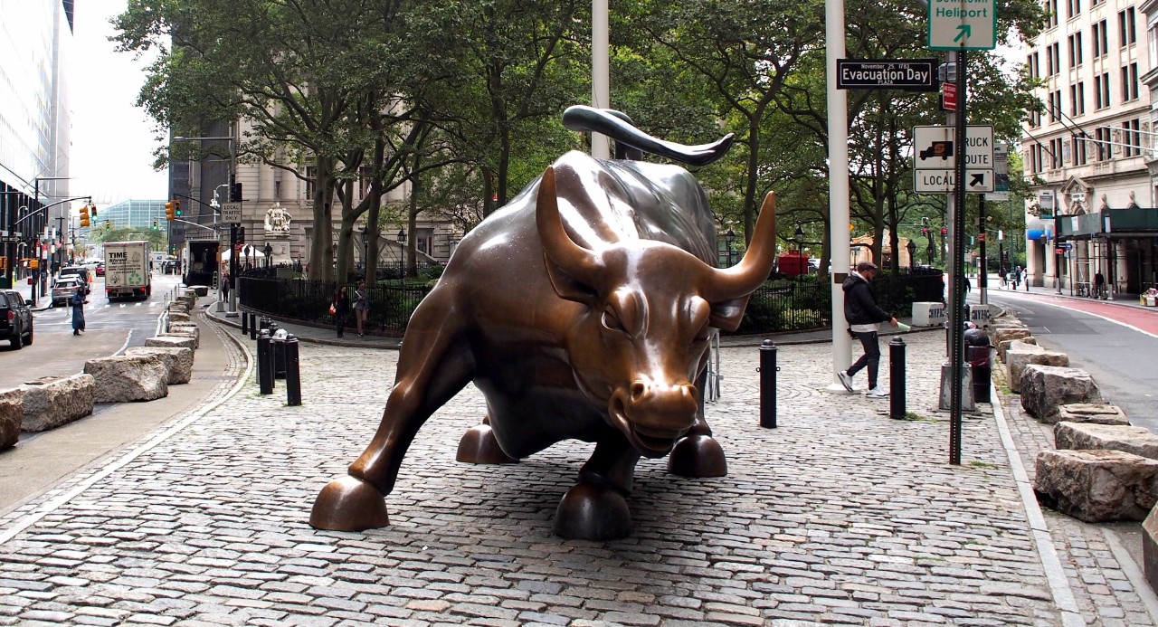 Market Volatility: Bull & bear markets